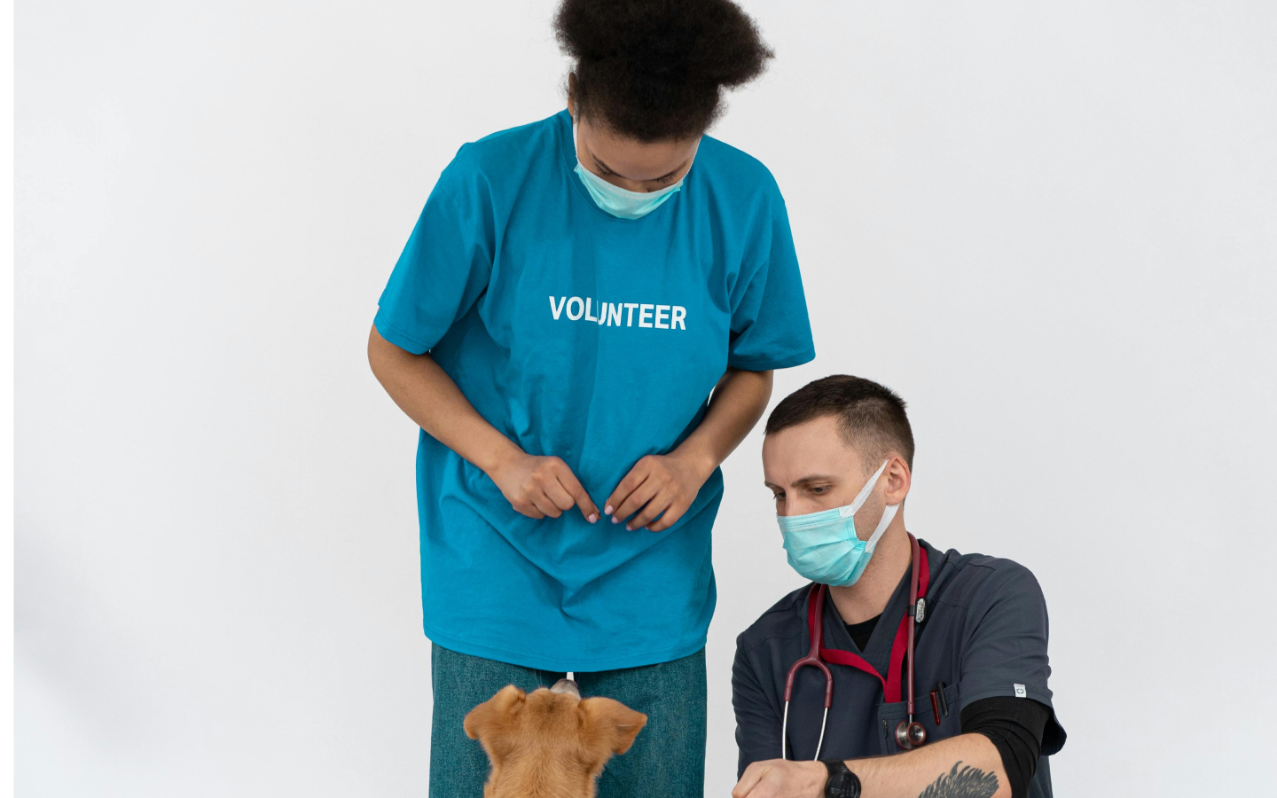 7 Effective Hiring Strategies for Veterinary Professionals
