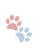 Paw Image