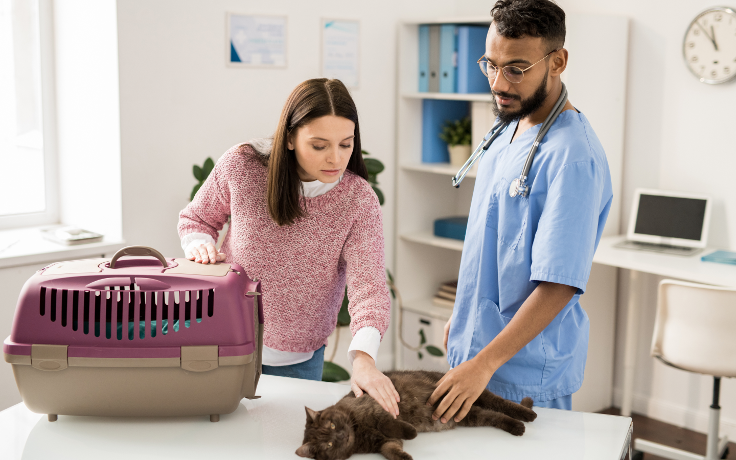 Top 5 Skills Needed for Success in Veterinary Practice
